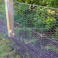 Galvanized Hexagonal Wire Netting Untuk Membuat Covers